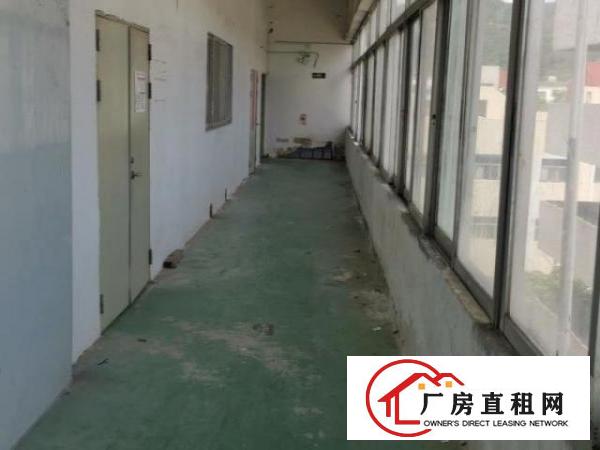  正规工业园标准厂房出租