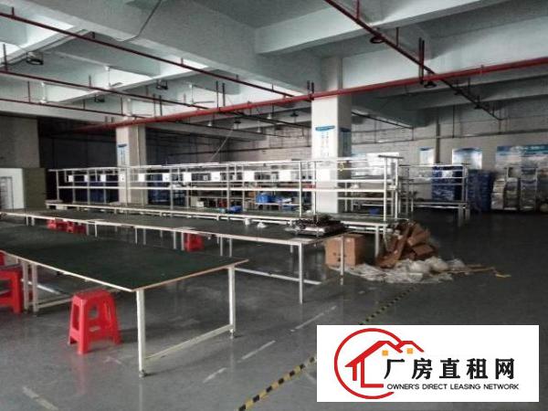  厂房招租福永新出楼上2460豪华装修标准厂房