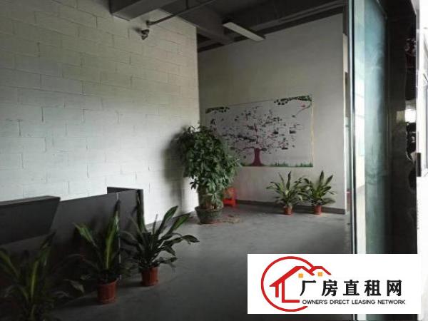  厂房招租福永新出楼上2460豪华装修标准厂房