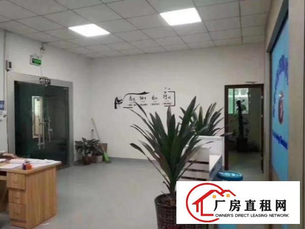  福永新出精装修原房东厂房600平方，无转让费