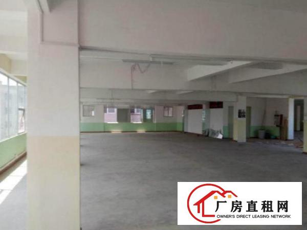  福永凤凰楼上800平米厂房招租，带环评，价格可谈