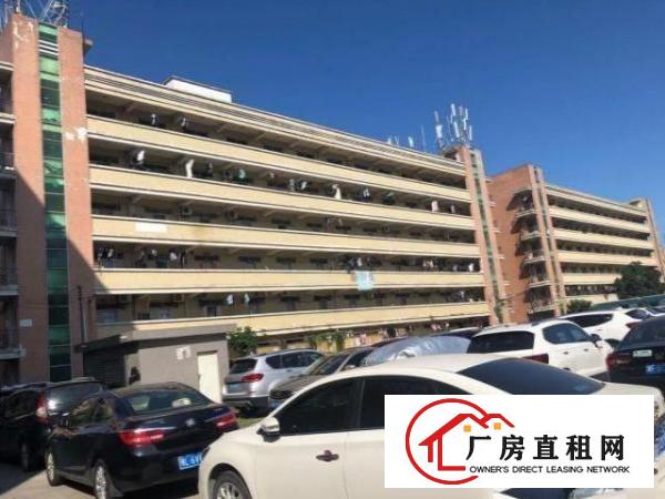  福永桥头富桥三区E8楼三楼650带装修