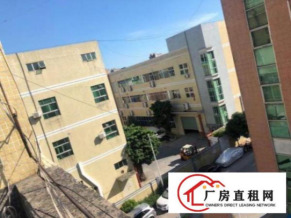  福永桥头富桥三区E8楼三楼650带装修