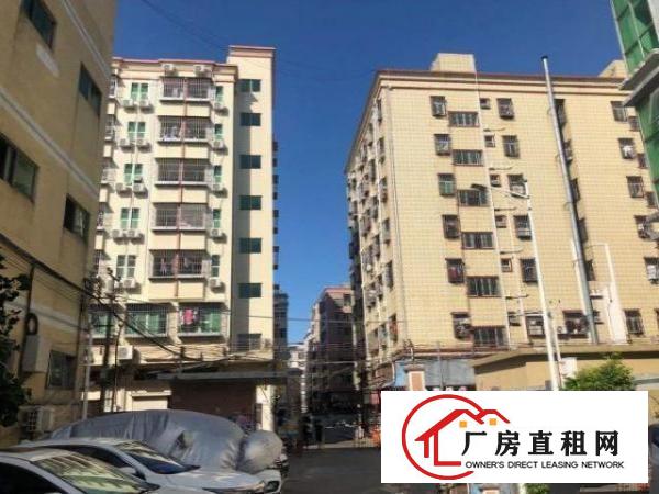  福永桥头富桥三区E8楼三楼650带装修