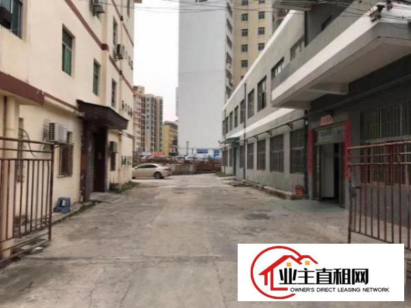  新福永靓盘，独门独栋，