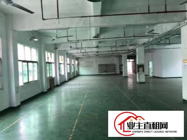  新福永靓盘，独门独栋，