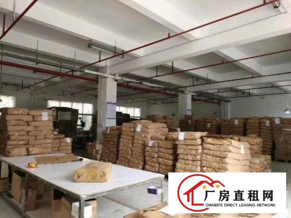  福永怀德村1楼厂房出租1200平，空地很大适合仓库物流