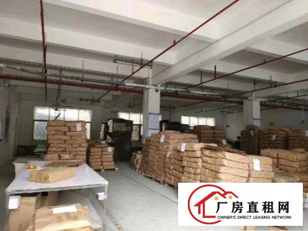 福永怀德村1楼厂房出租1200平，空地很大适合仓库物流