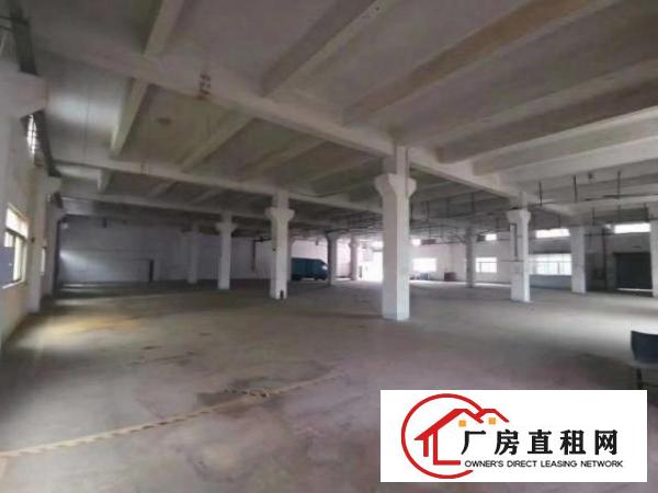 福永新和宝安大道边原房东一楼1600平，