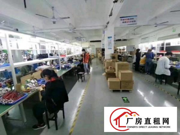  福永凤凰国道边楼上1000平，精装修，无需转让费，