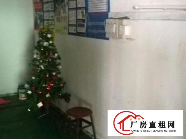  标准工业厂房出租，330平方米