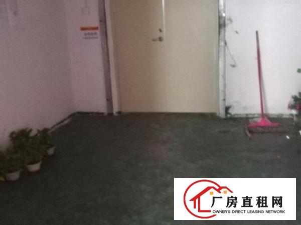  标准工业厂房出租，330平方米