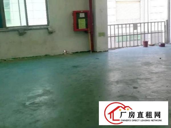  标准工业厂房出租，330平方米