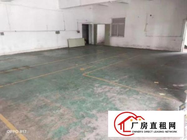 白石夏一楼厂房招租，签约三年