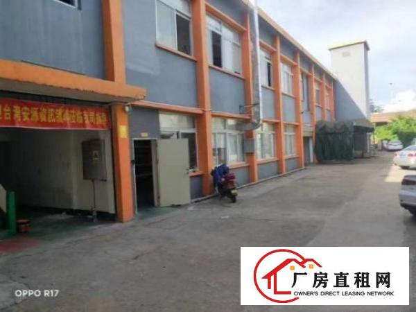  白石夏一楼厂房招租，签约三年
