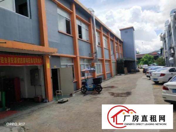  白石夏一楼厂房招租，签约三年