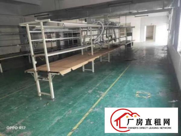  独门独户一楼，大小可分租