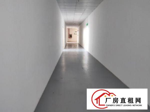  福永厂房出租200平300平500平