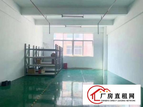  福永和平新出厂房428平带豪华装修不要转让费出租
