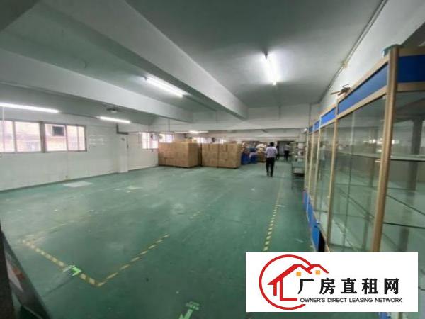  福永和平新出厂房428平带豪华装修不要转让费出租