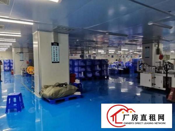  福永新和新出厂房2158平带豪华装修和无尘车间出租不要转让费