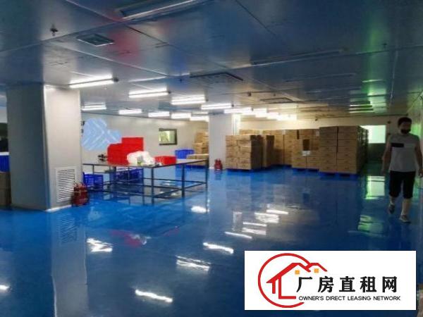  福永新和新出厂房2158平带豪华装修和无尘车间出租不要转让费