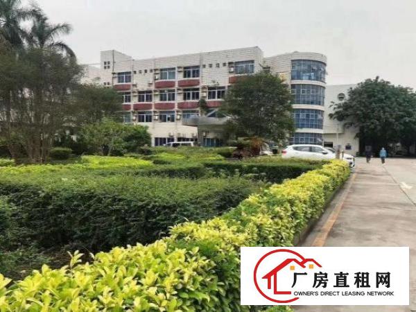  福永新出原房东楼上精装修厂房500平米无转让费