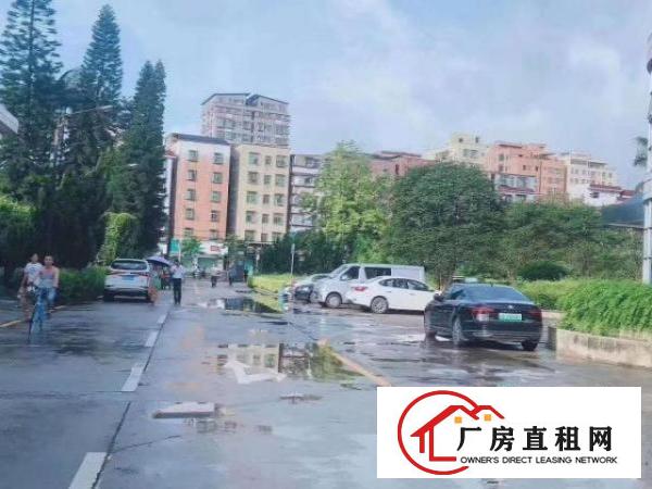  福永新出原房东楼上精装修厂房500平米无转让费
