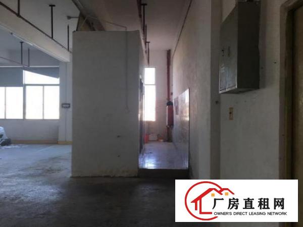  福永凤凰岭北四路750平带装修厂房出租