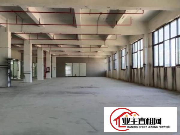  福永凤凰新出2000平自由组合
