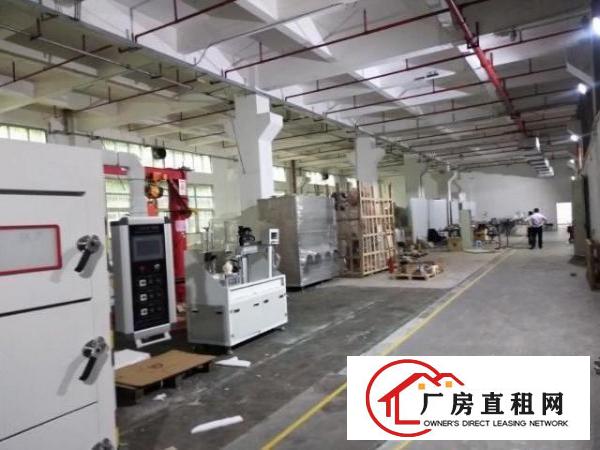  福永红本独门独院工业园厂房