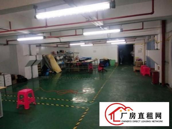  福永红本独门独院工业园厂房