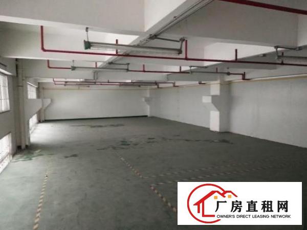  福永红本独门独院工业园厂房
