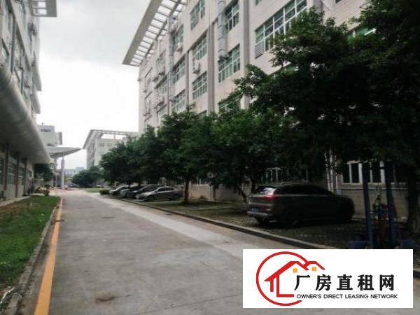  福永红本独门独院工业园厂房