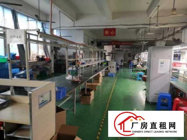  厂房出租宝安区福永凤凰山脚下