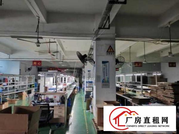  厂房出租宝安区福永凤凰山脚下