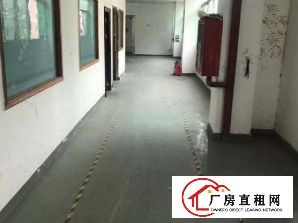  福永镇富桥第三工业区三楼