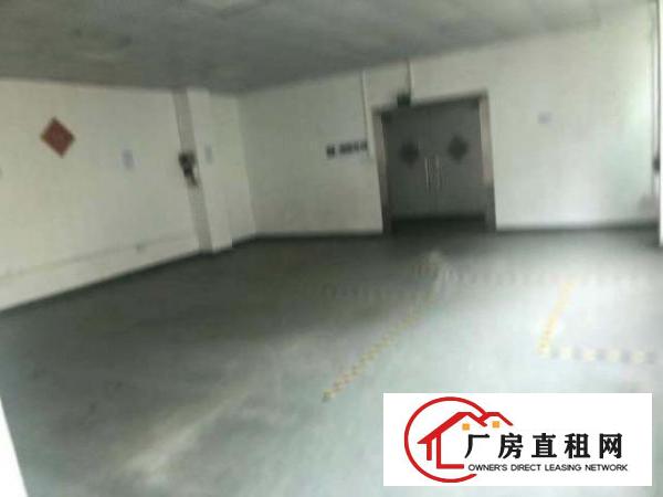  福永镇富桥第三工业区三楼
