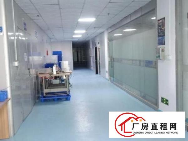  福永天瑞工业园无尘车间4400平方米，全新装修，带办公室