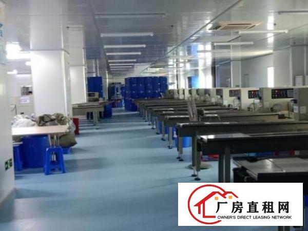  福永天瑞工业园无尘车间4400平方米，全新装修，带办公室
