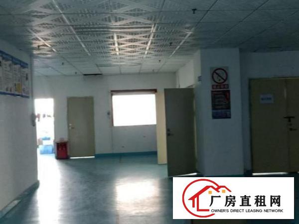  福永天瑞工业园无尘车间4400平方米，全新装修，带办公室