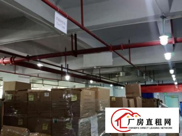  福永天瑞工业园无尘车间4400平方米，全新装修，带办公室