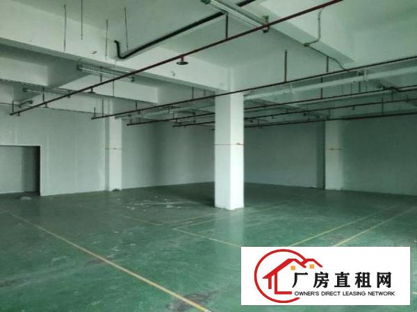  凤凰立交旁边，价格优惠可分租