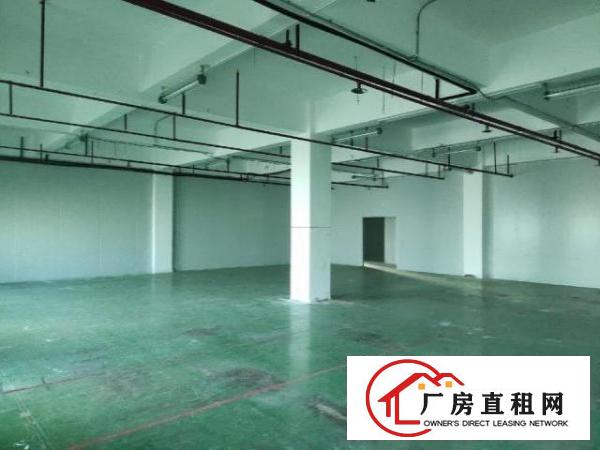  凤凰立交旁边，价格优惠可分租