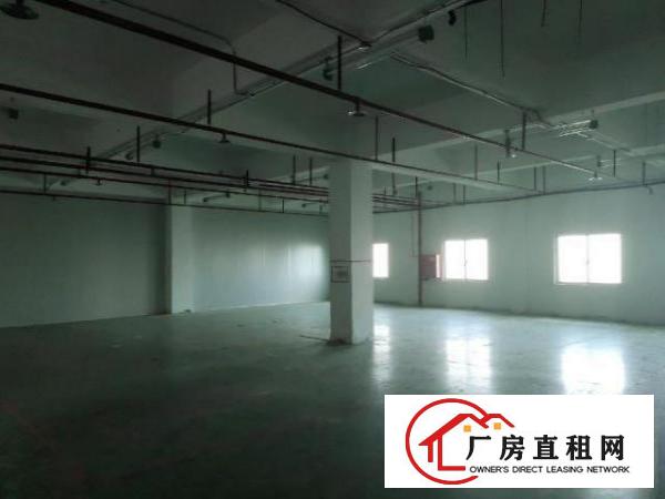  凤凰立交旁边，价格优惠可分租