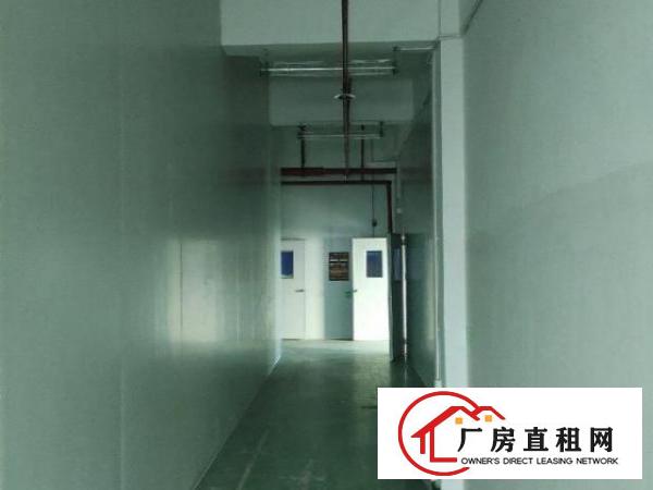  凤凰立交旁边，价格优惠可分租