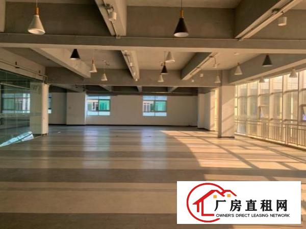  福永原房东红本写字楼可做检测