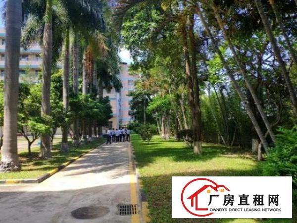  福永独门独院厂房招租