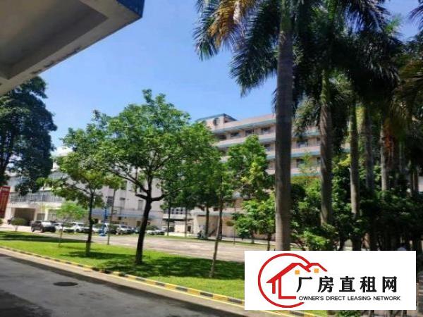  福永独门独院厂房招租
