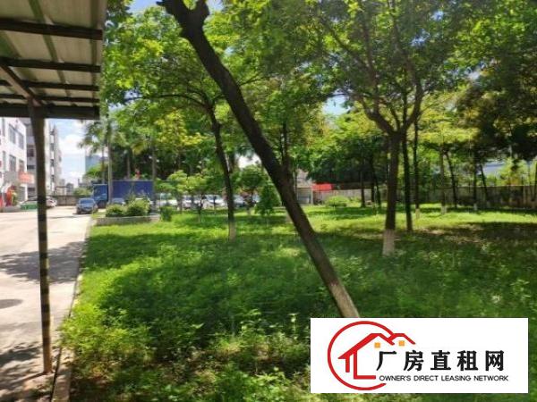  福永独门独院厂房招租